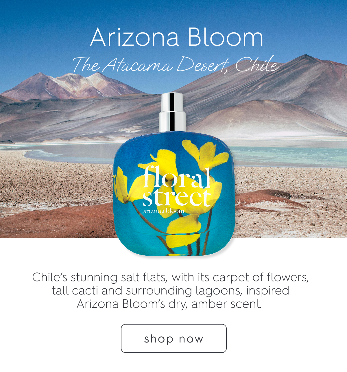  Arizona Bloom