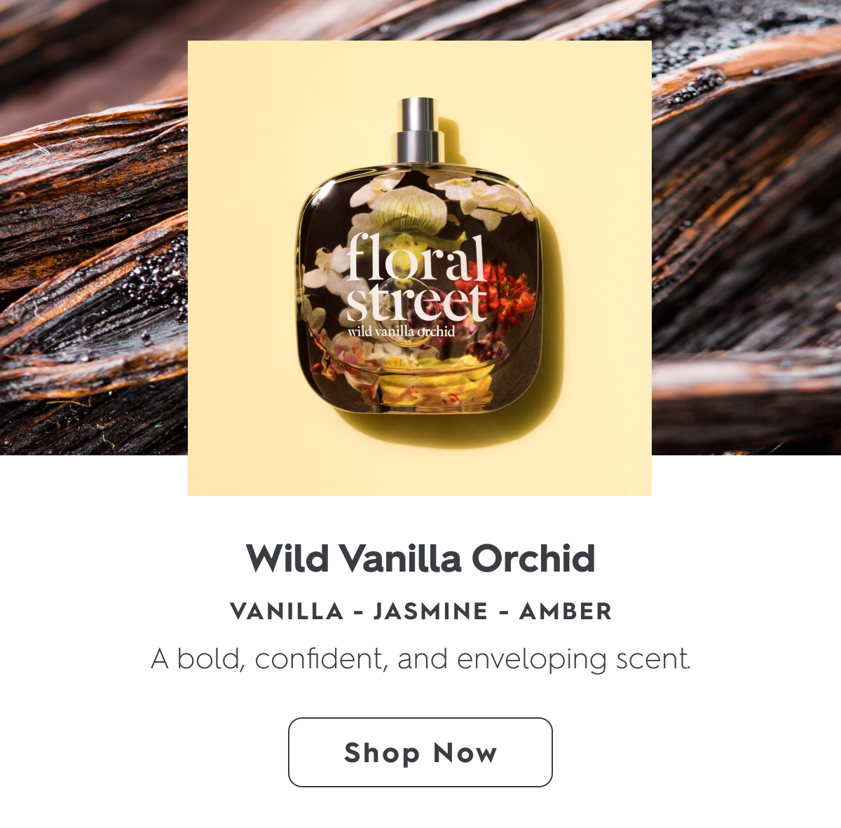 Shop Wild Vanilla Orchid