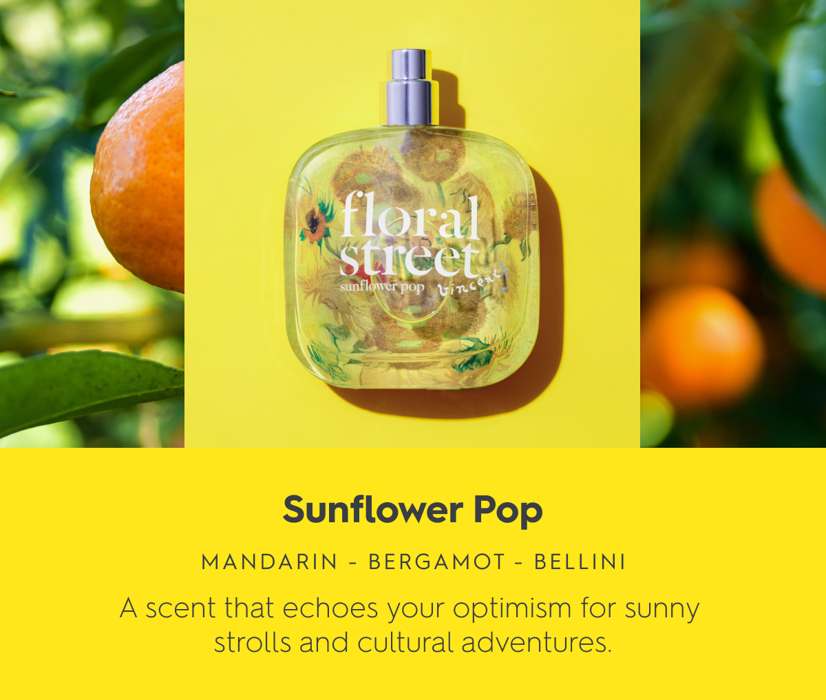Sunflower Pop