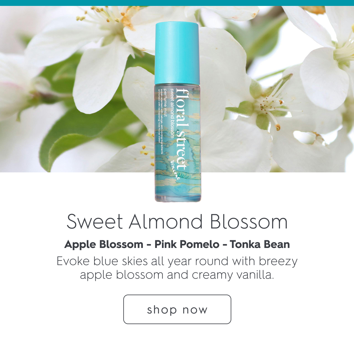Sweet Almond Blossom