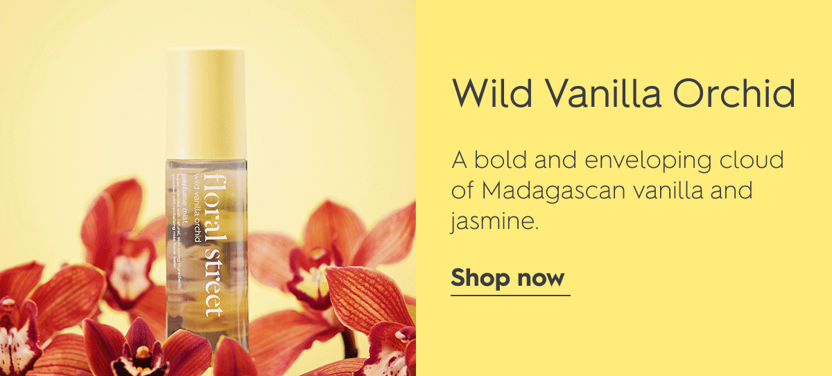 Wild Vanilla Orchid
