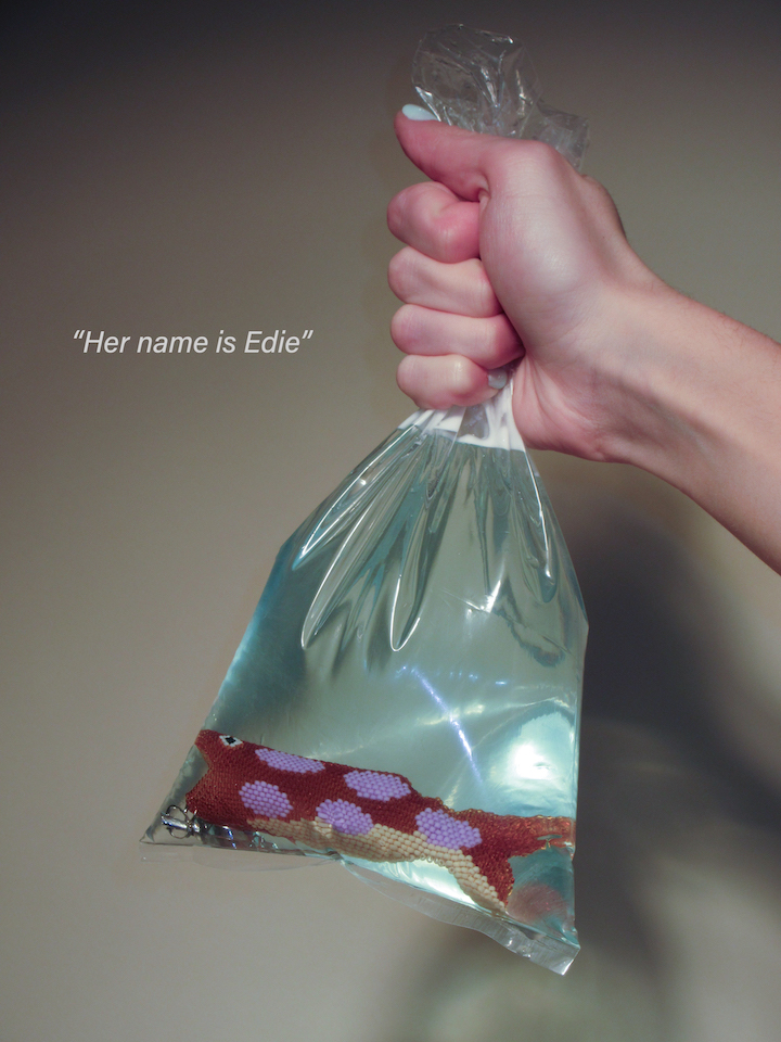 brown fish keychain in goldfish water bag