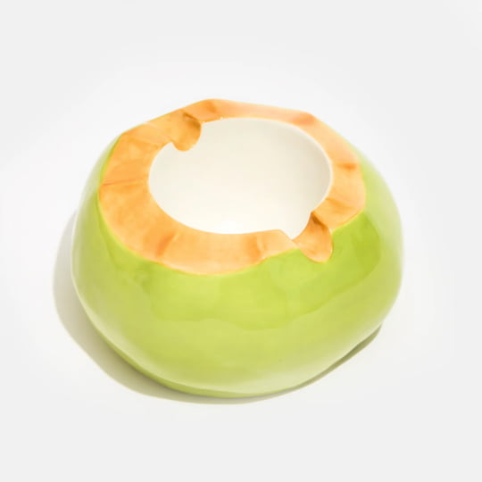 coconut ashtray