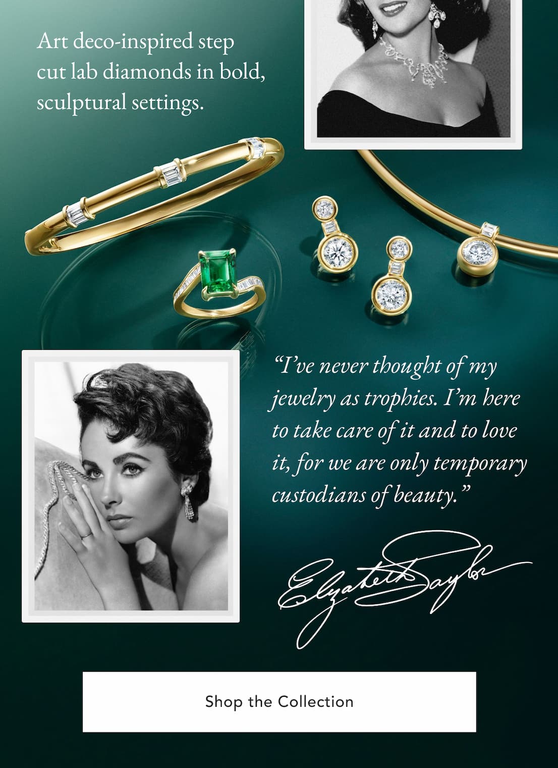 Shop the Collection