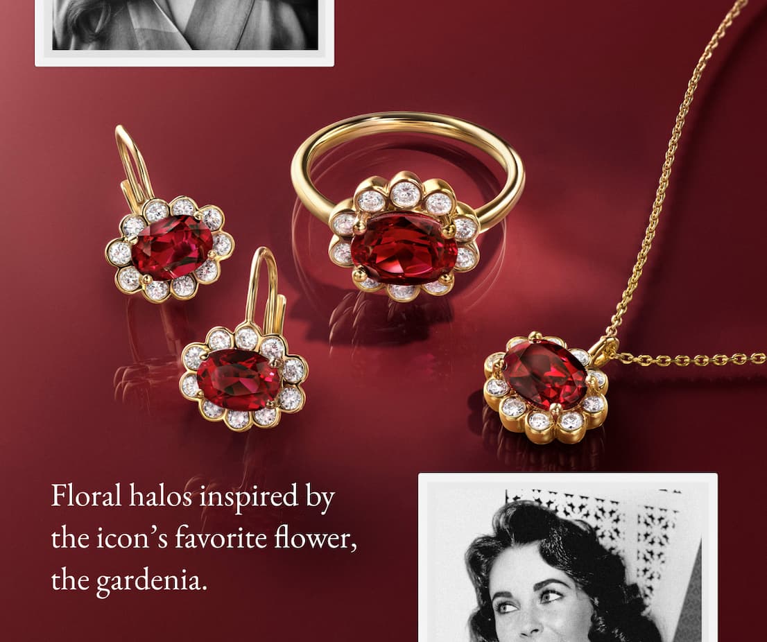 Shop the Collection