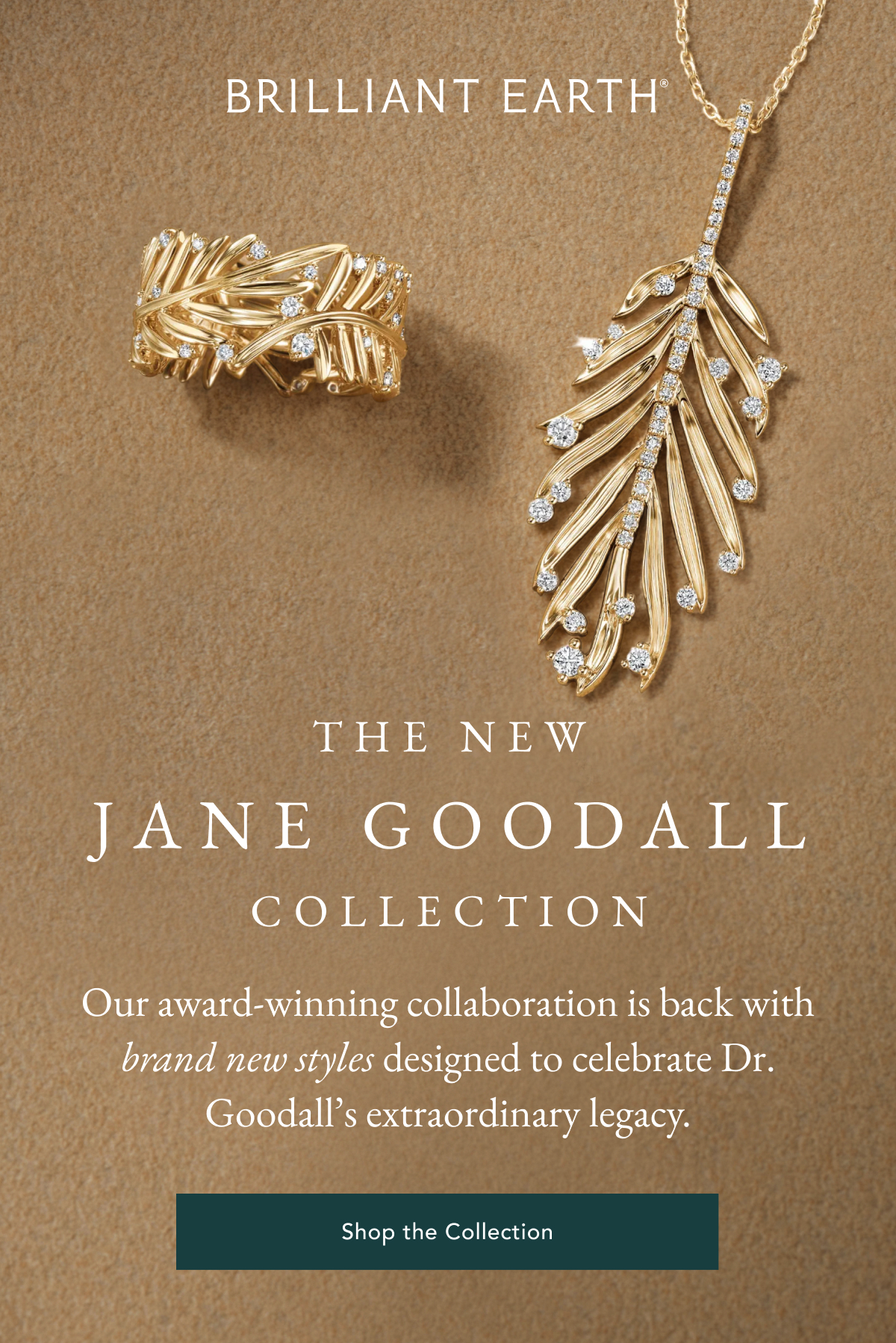 Shop the Collection