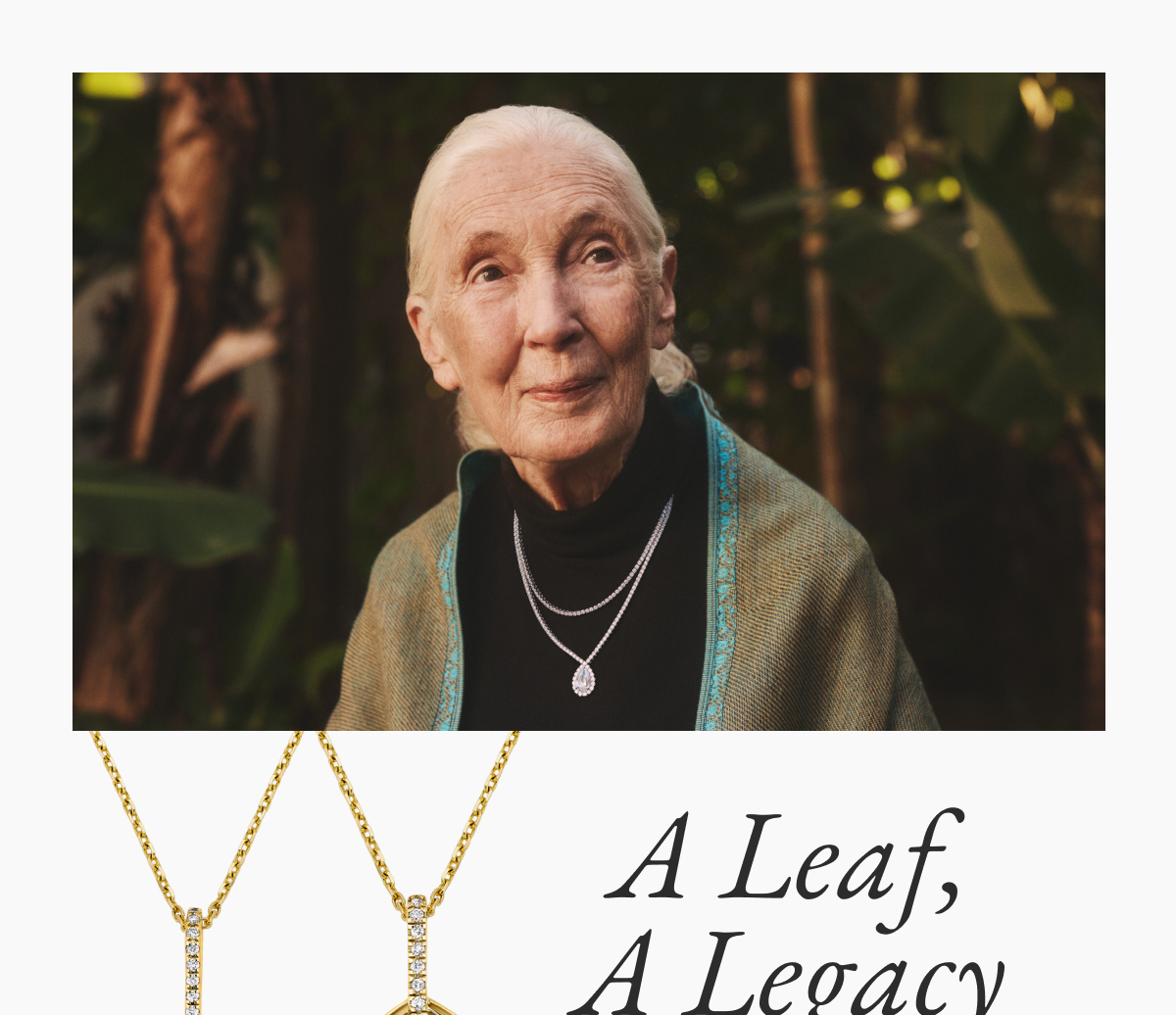 A Leaf, A Legacy