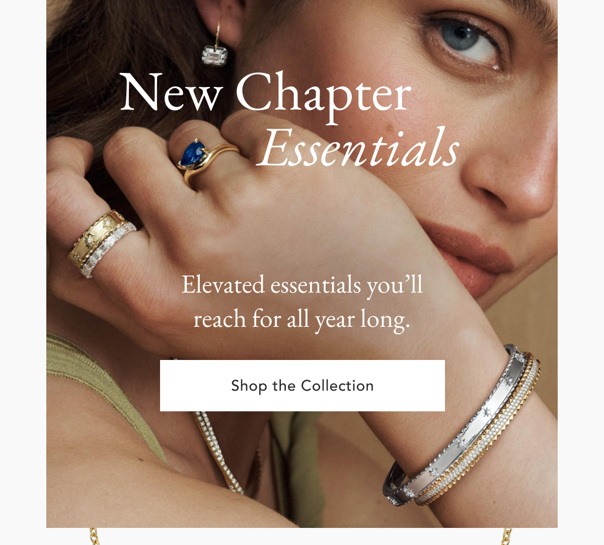 Shop the Collection