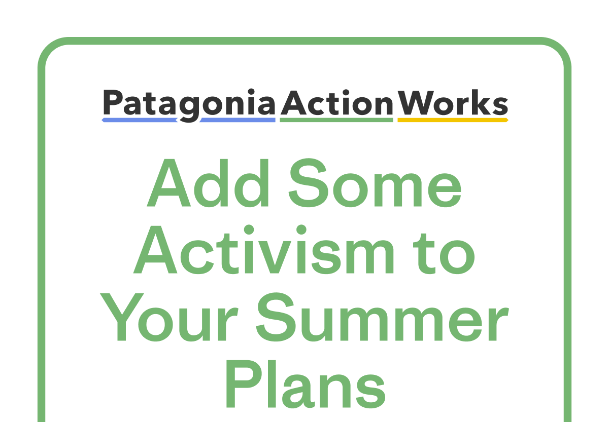 Add Some Activism to Your Summer Plans