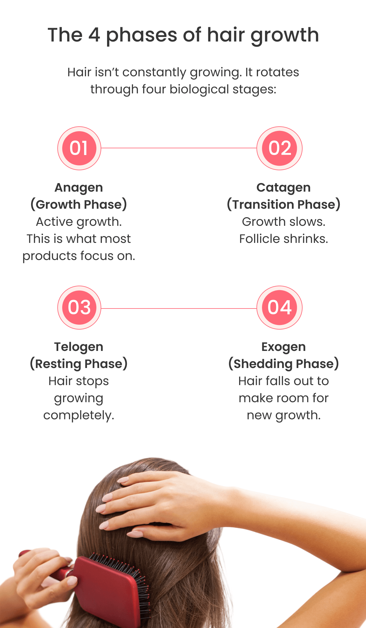 The 4 phases of hair growth Hair isn't constantly growing. It rotates through four biological stages: