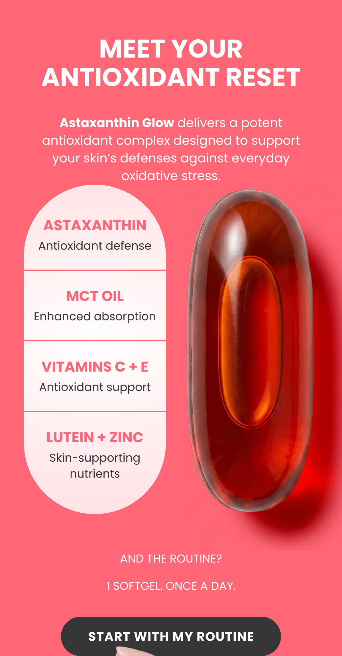 MEET YOUR ANTIOXIDANT RESET