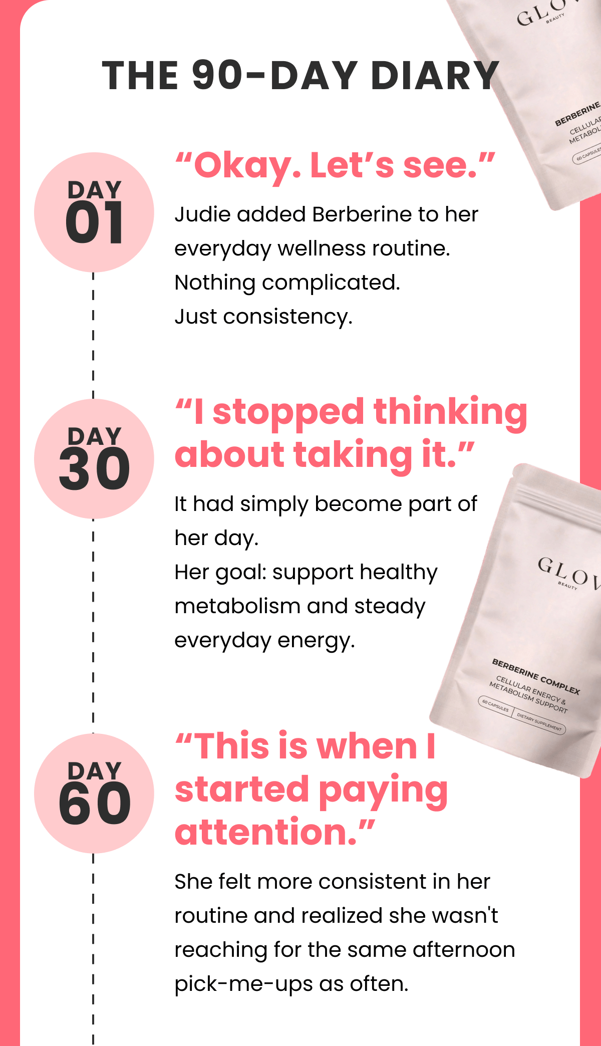 THE 90-DAY DIARY