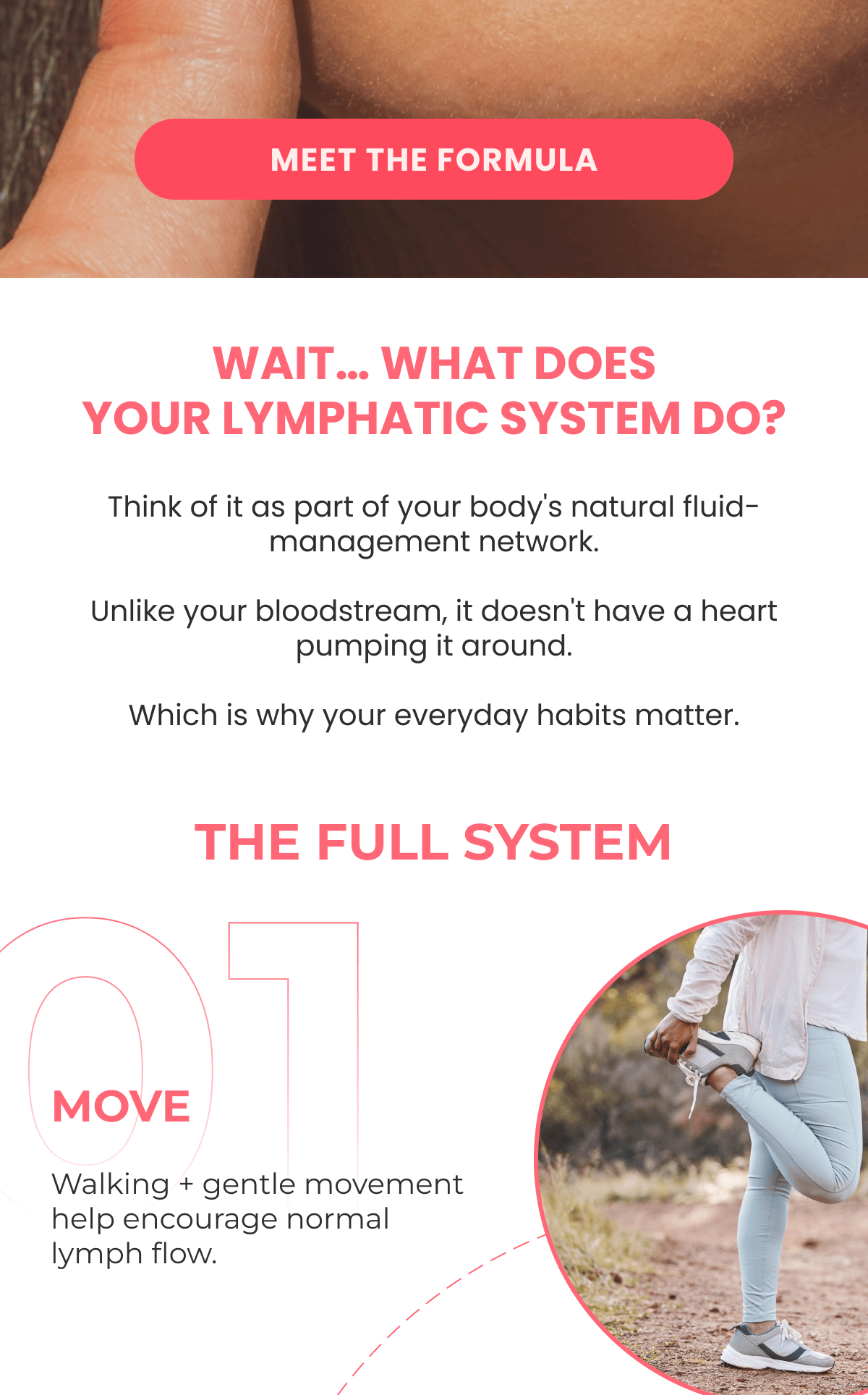 WAIT… WHAT DOES YOUR LYMPHATIC SYSTEM DO?