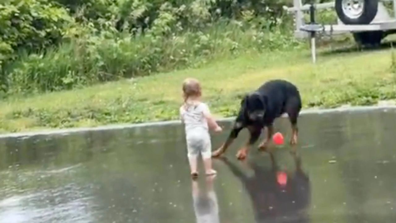 Daily Smile: Friday, July 24, 2026