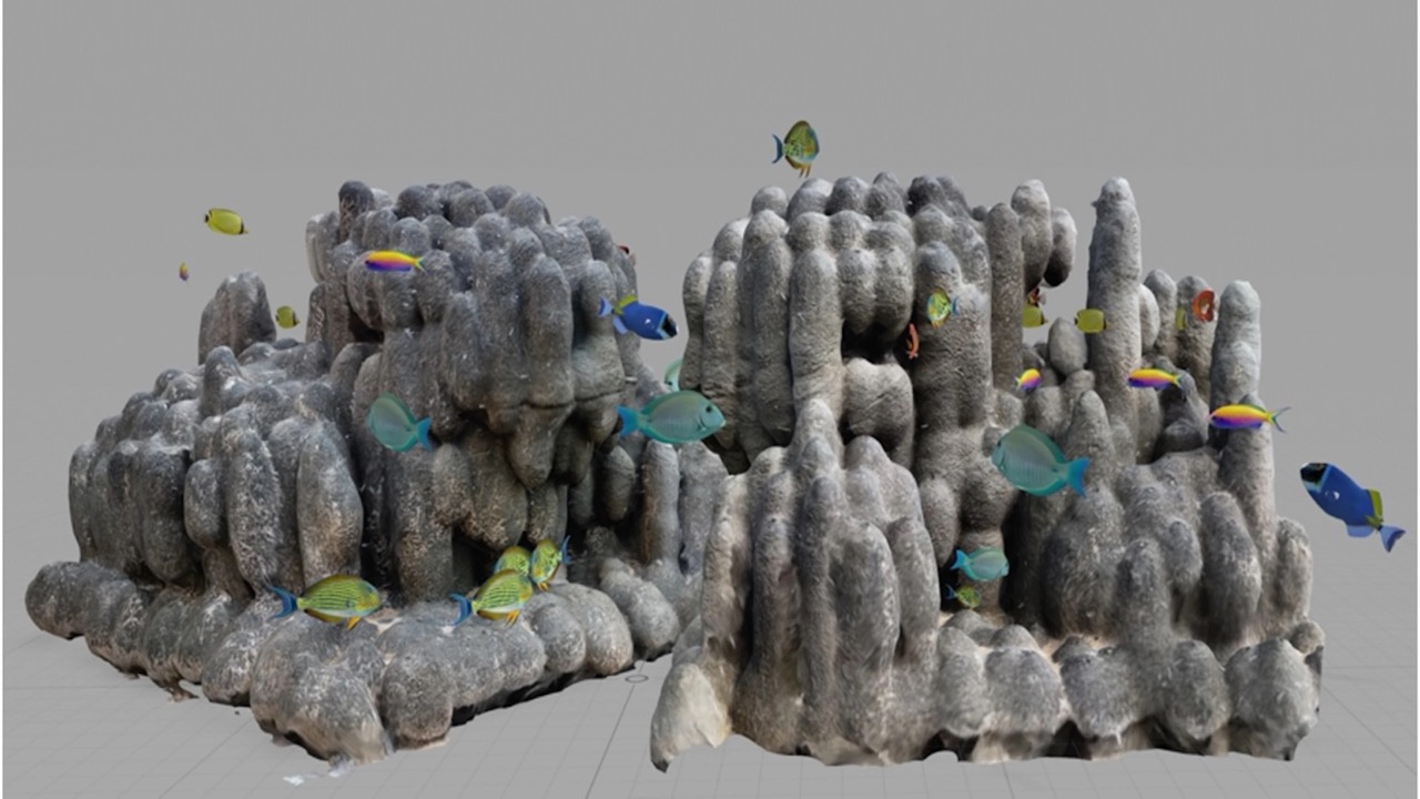 Artificial reef coming to Waikīkī