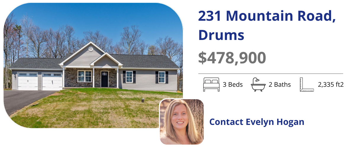 231 mountain road