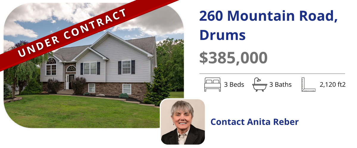 homes for sale in drums