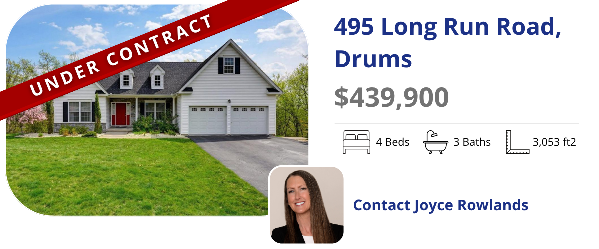 homes for sale in drums