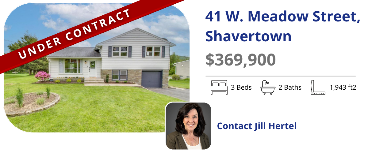 homes for sale in back mountain