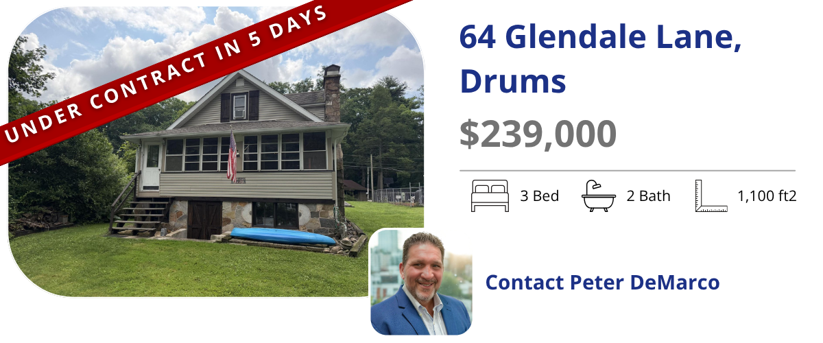 homes for sale in drums
