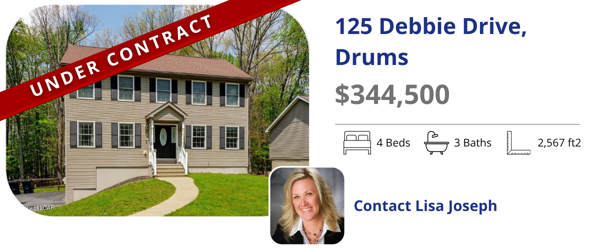homes for sale in drums