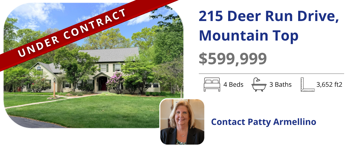 homes for sale in mountain top