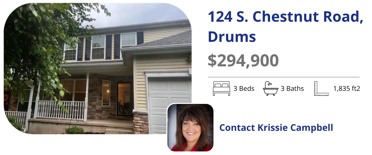 124 s chestnut