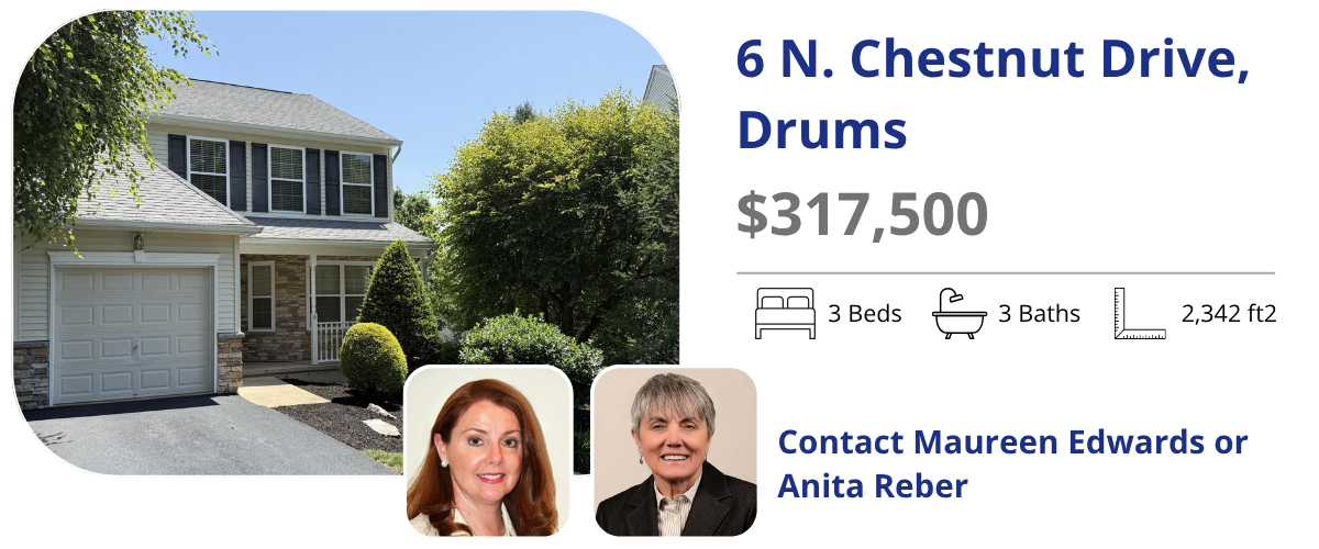 6 n chestnut