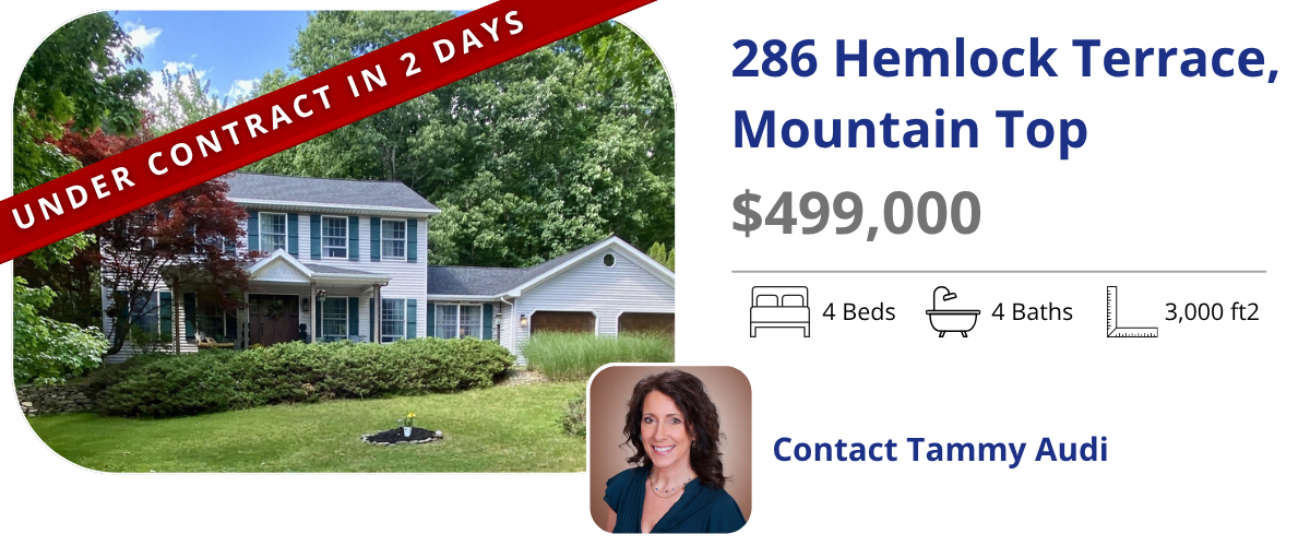 homes for sale in mountain top