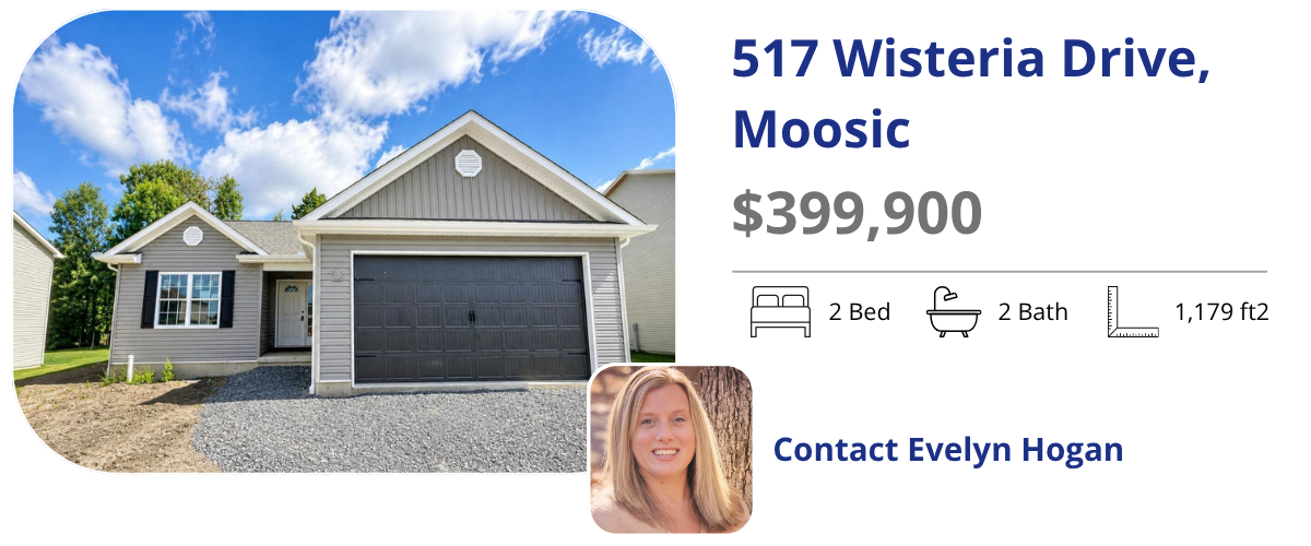 517 wisteria dr