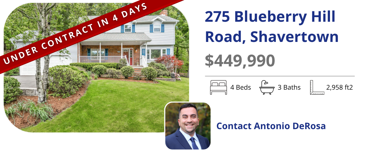 homes for sale in back mountain
