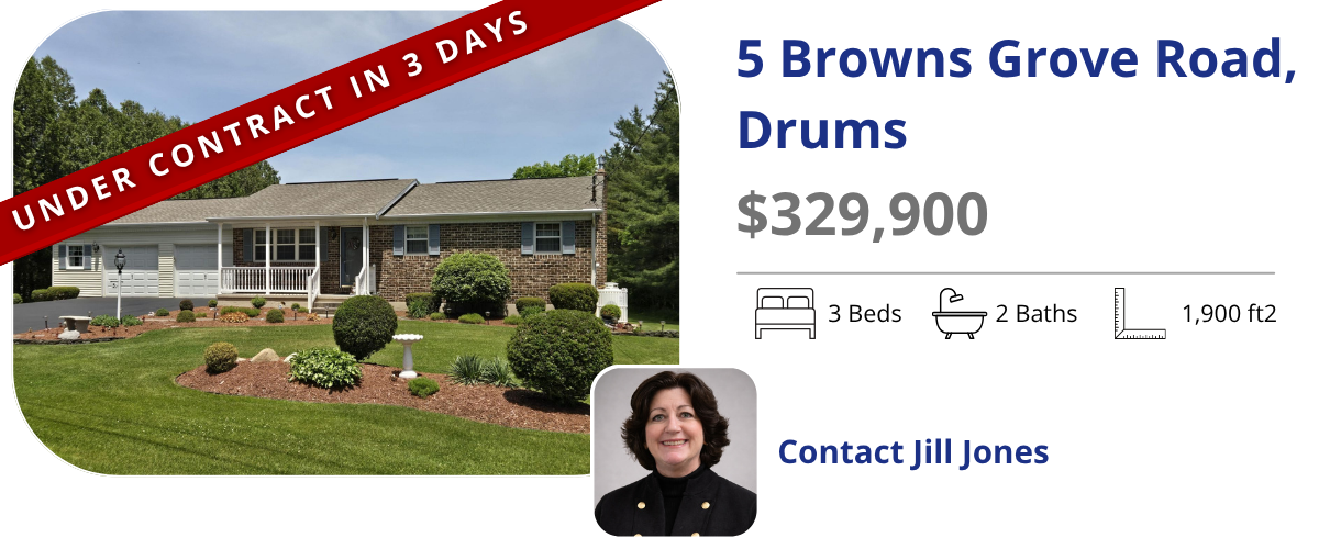 homes for sale in drums