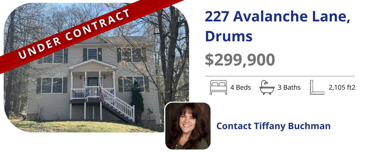 homes for sale in drums
