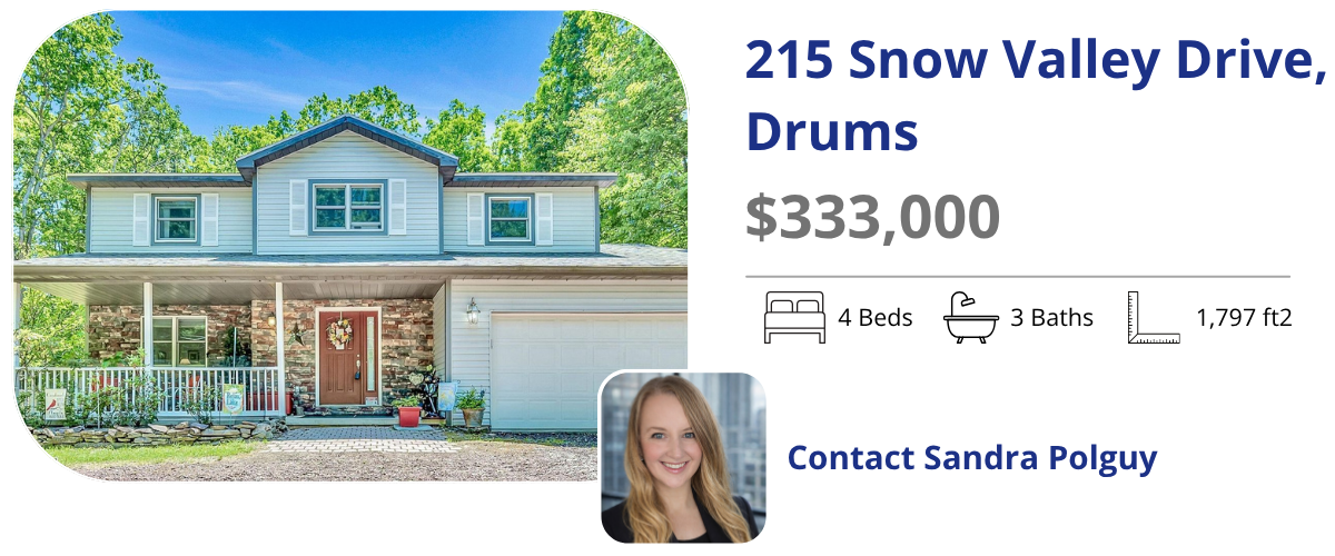 215 snow valley