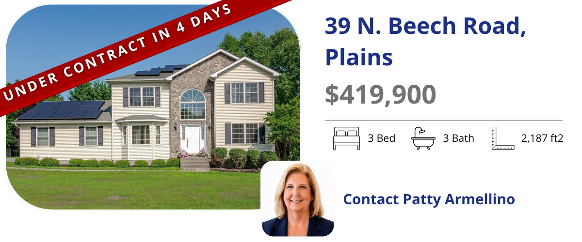 homes for sale in plains