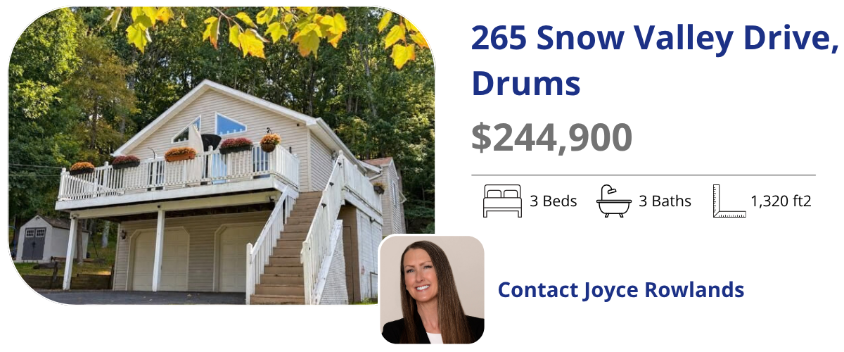 265 snow valley