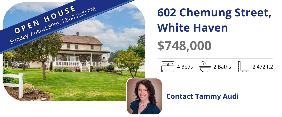 602 chemung st  open house