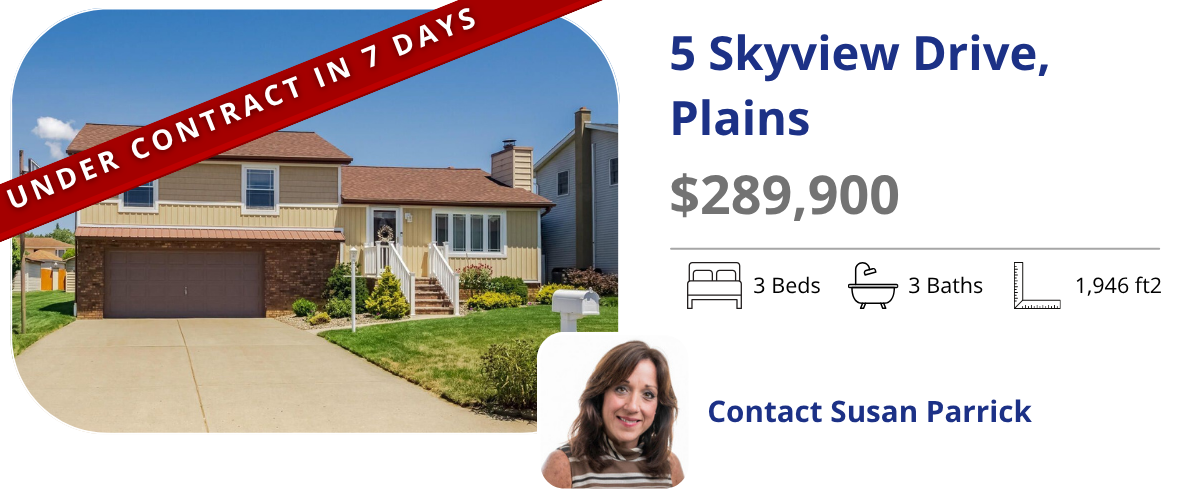 homes for sale in plains