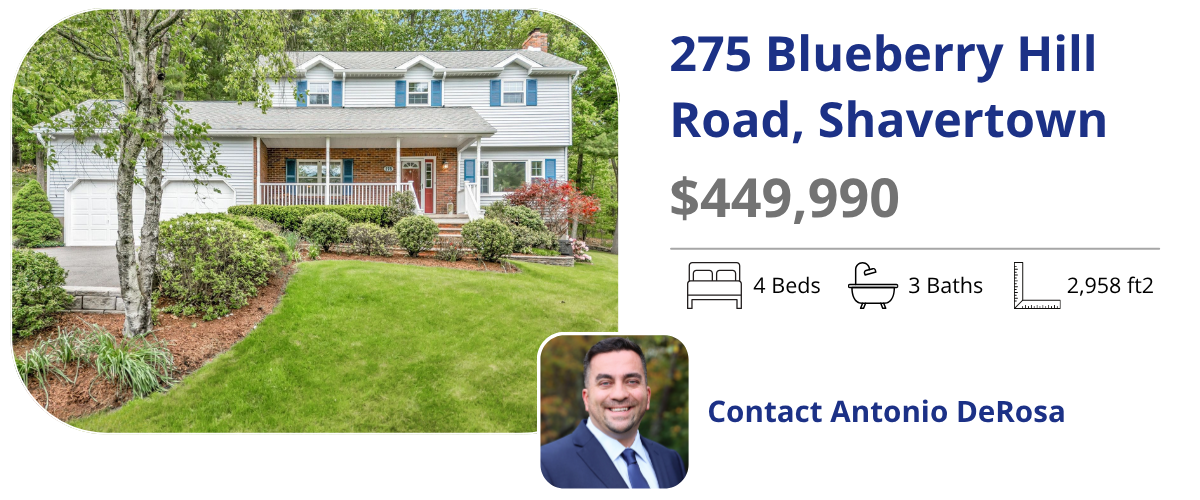 275 blueberry hill road