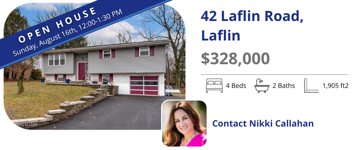 42 laflin