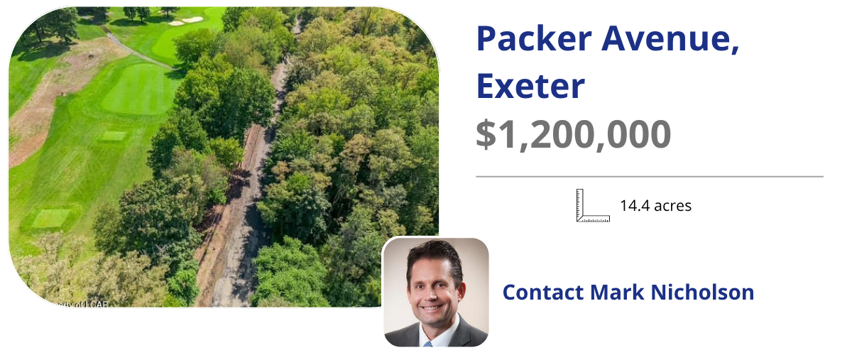 packer ave