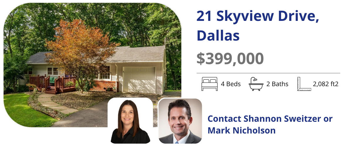 21 skyview dr