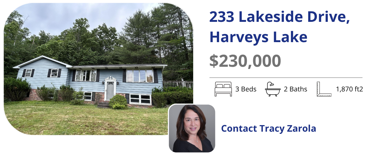 233 lakeside drive