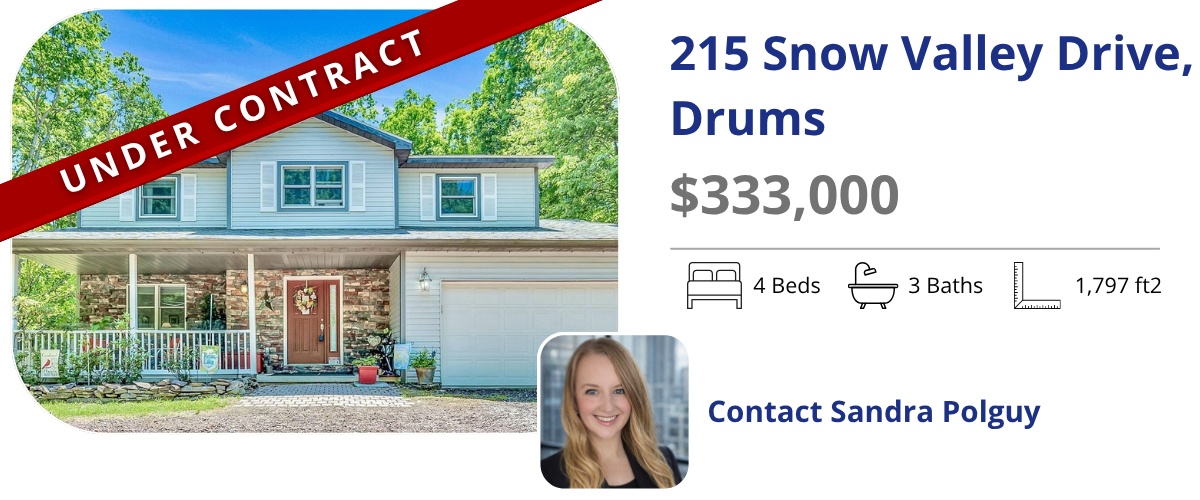 homes for sale in drums