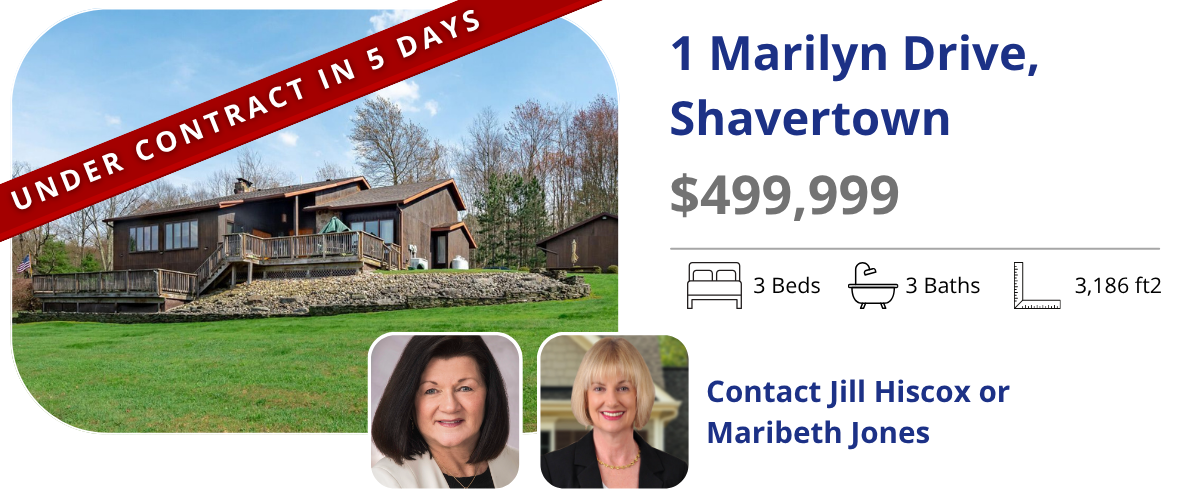 homes for sale in back mountain
