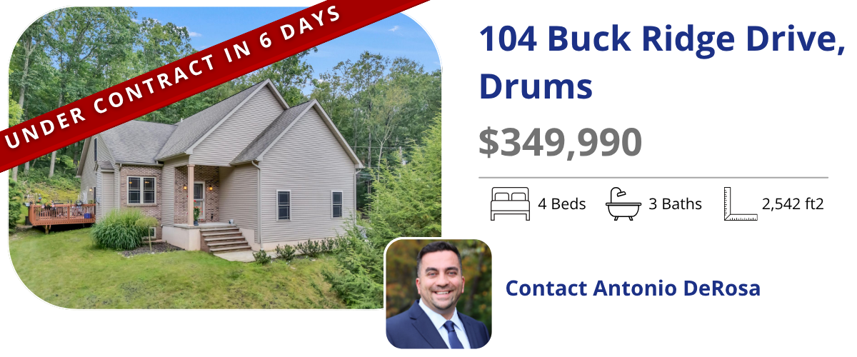 homes for sale in drums