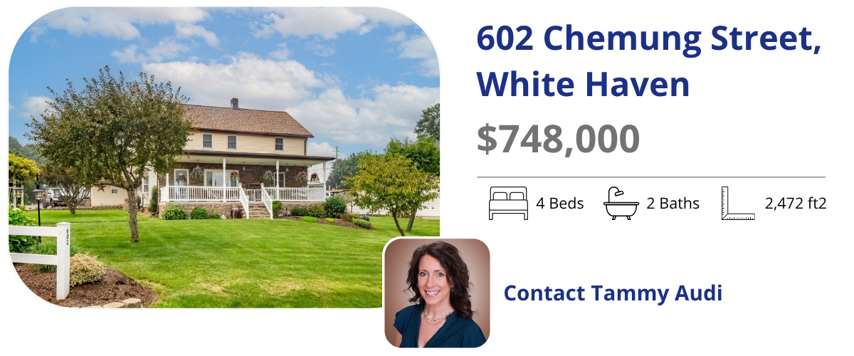 602 Chemung st