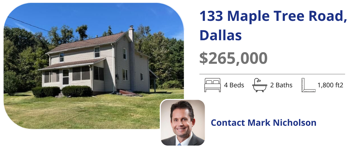 133 maple tree