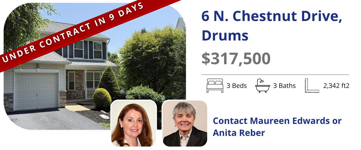 6 n chestnut