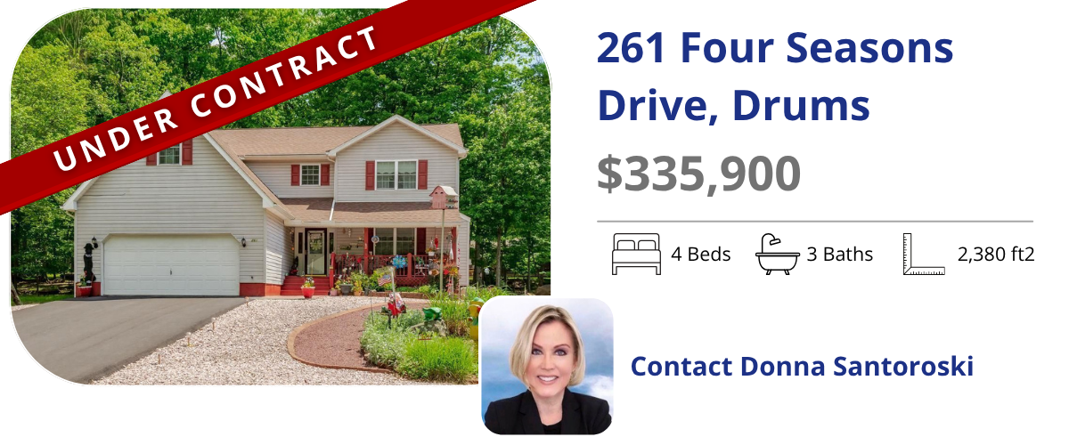 homes for sale in drums